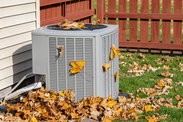 Best Solar-powered HVAC Systems in Camanche, IA